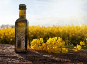 Rapeseed Oil Suppliers