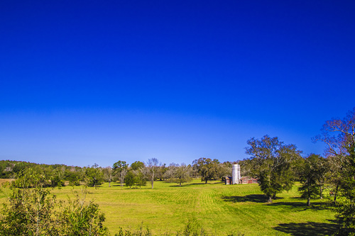 Blue Sky