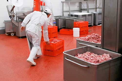 food manufacturer oil collections