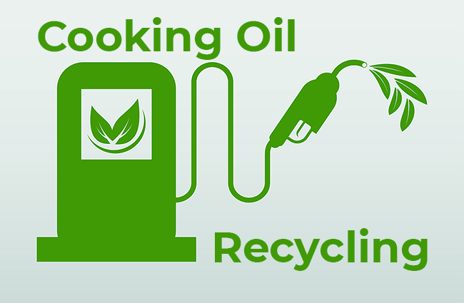 What happens with recycled fryer oil?